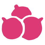 Acai berry logo