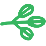 Alfalfa logo