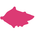 Ginseng logo